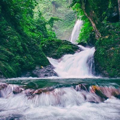 放置练星录内测版下载